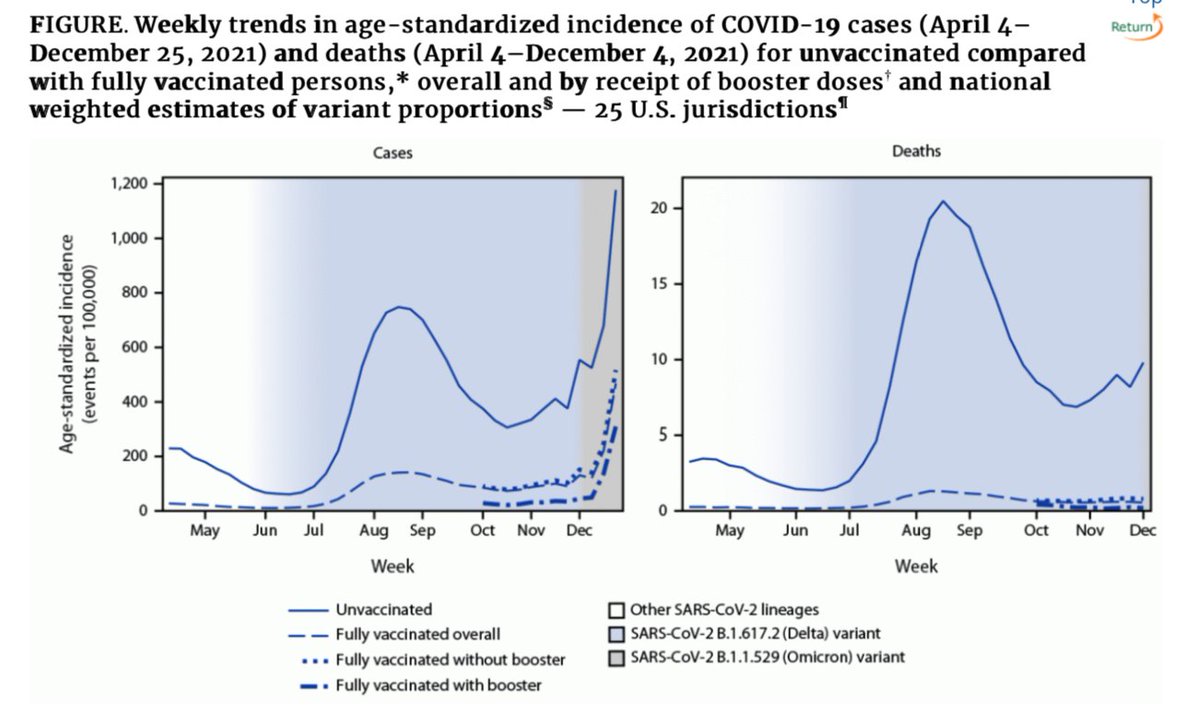 e_morris11's tweet photo. Think the COVID Vaccine is a FAKE??  Check out this study published this week in MMWR by 25 different Departments of Health.  Solid lines are UNVAX, dotted are VAX and BOOSTERED.  Vaccines PROTECT against infection and DEATH!  Get Vaccinated/Get Boosted!! #VaccinesWork #760ox https://t.co/26b69ftJ5b