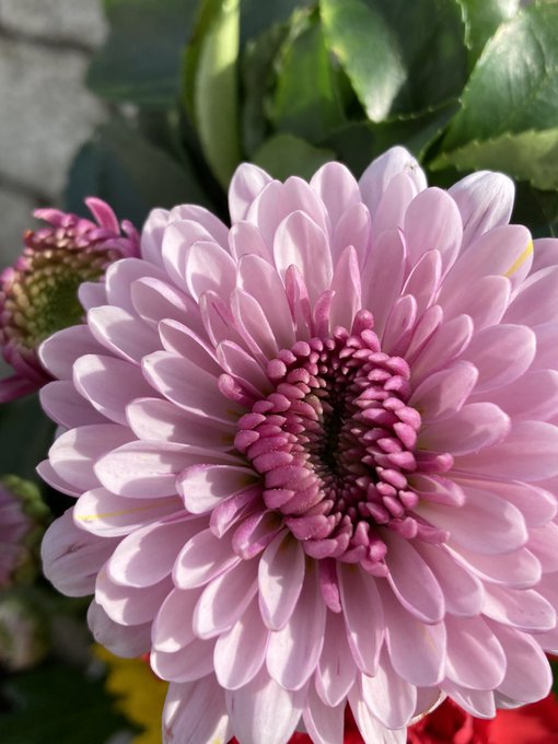 Gurichannelさんのイラストまとめ