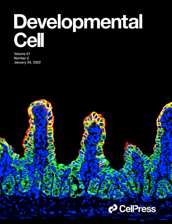 yeastgrrl's tweet photo. Interested in being a scientific editor? Here is a great chance to work for an awesome @CellPressNews journal that covers cell biology and developmental biology: @Dev_Cell  https://t.co/4WfGHIAPXj https://t.co/fNIJs2WoOJ