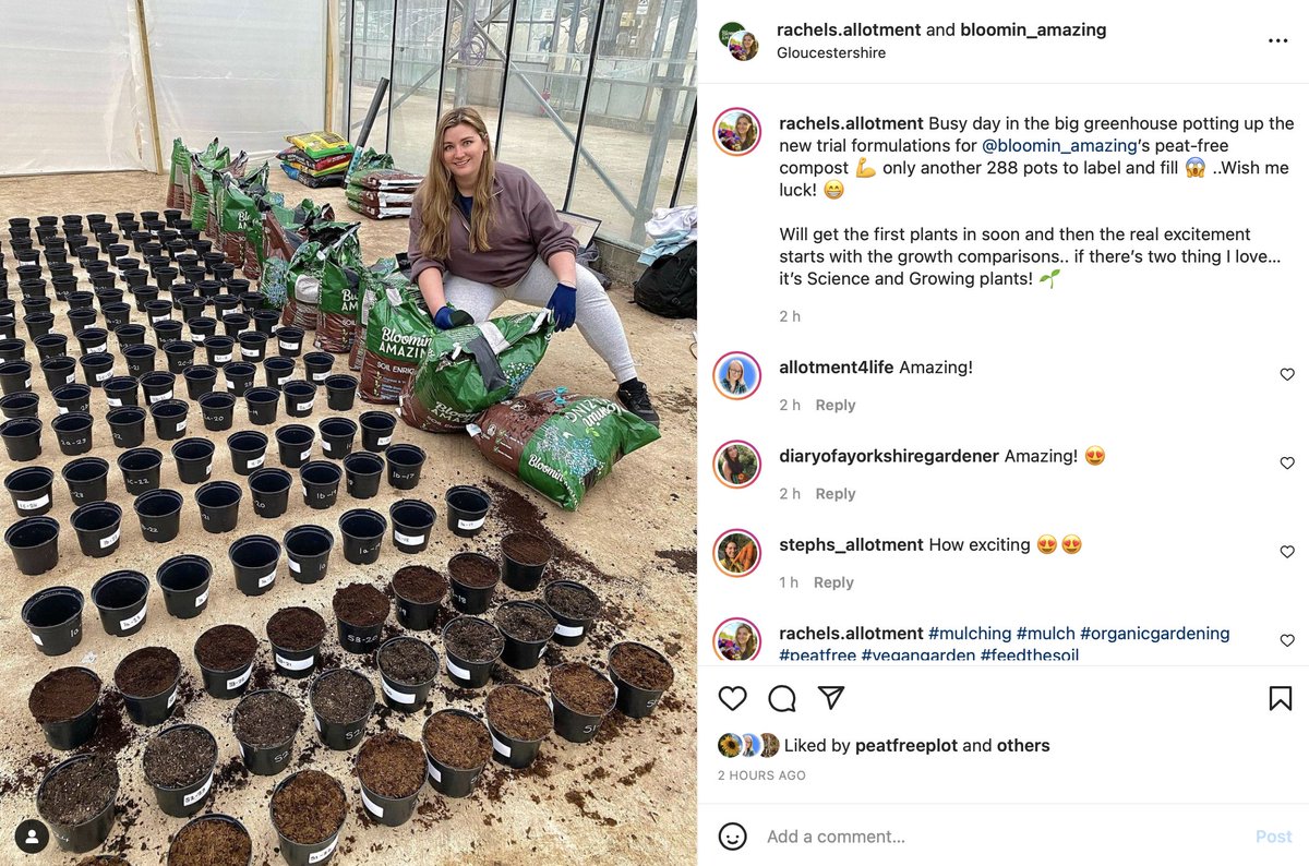 Off to a fine start with our trusty PhD student Rachel (aka IG rachels-allotment) on our fully replicated trials in search of a 100% peatfree superior #potting mix.We're trialling 4 #sustainable products to mix with BA, 2 not used before. It will take time, but then it should🤗💚