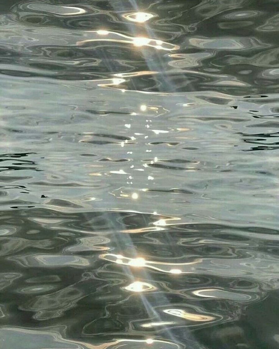 SriCharlotte's tweet photo. Silent https://t.co/DDg1cMrJfo