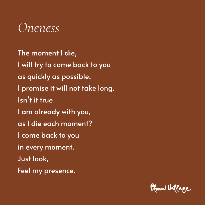 TNHFound's tweet photo. "Oneness" - a poem by #ThichNhatHanh

#continuation #buddhism #nobirthnodeath #mindfunlness #poetry #thichnhathanh https://t.co/nMASCk9ESS