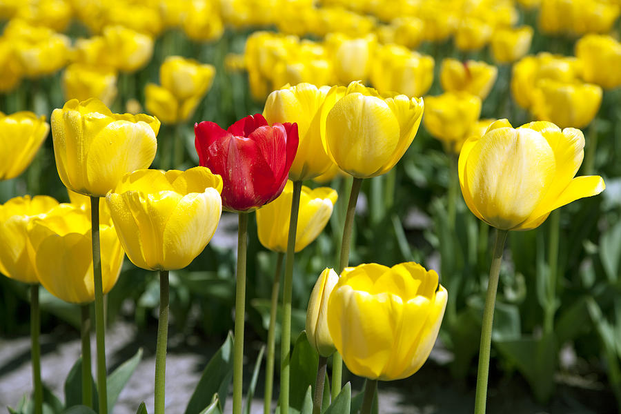 apmoveint's tweet image. Become Confident in Who God Says You Are - mailchi.mp/apostolic-move…