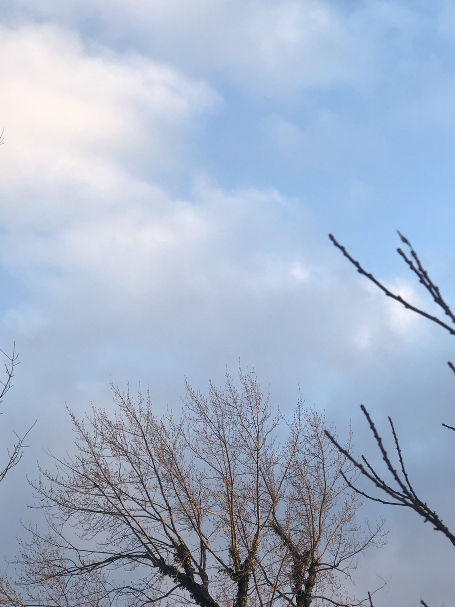 JoannaPasceri's tweet photo. It’s 5pm. And it is still daylight. ☀️👏👏😊#daysgettinglonger https://t.co/CqfurVu896
