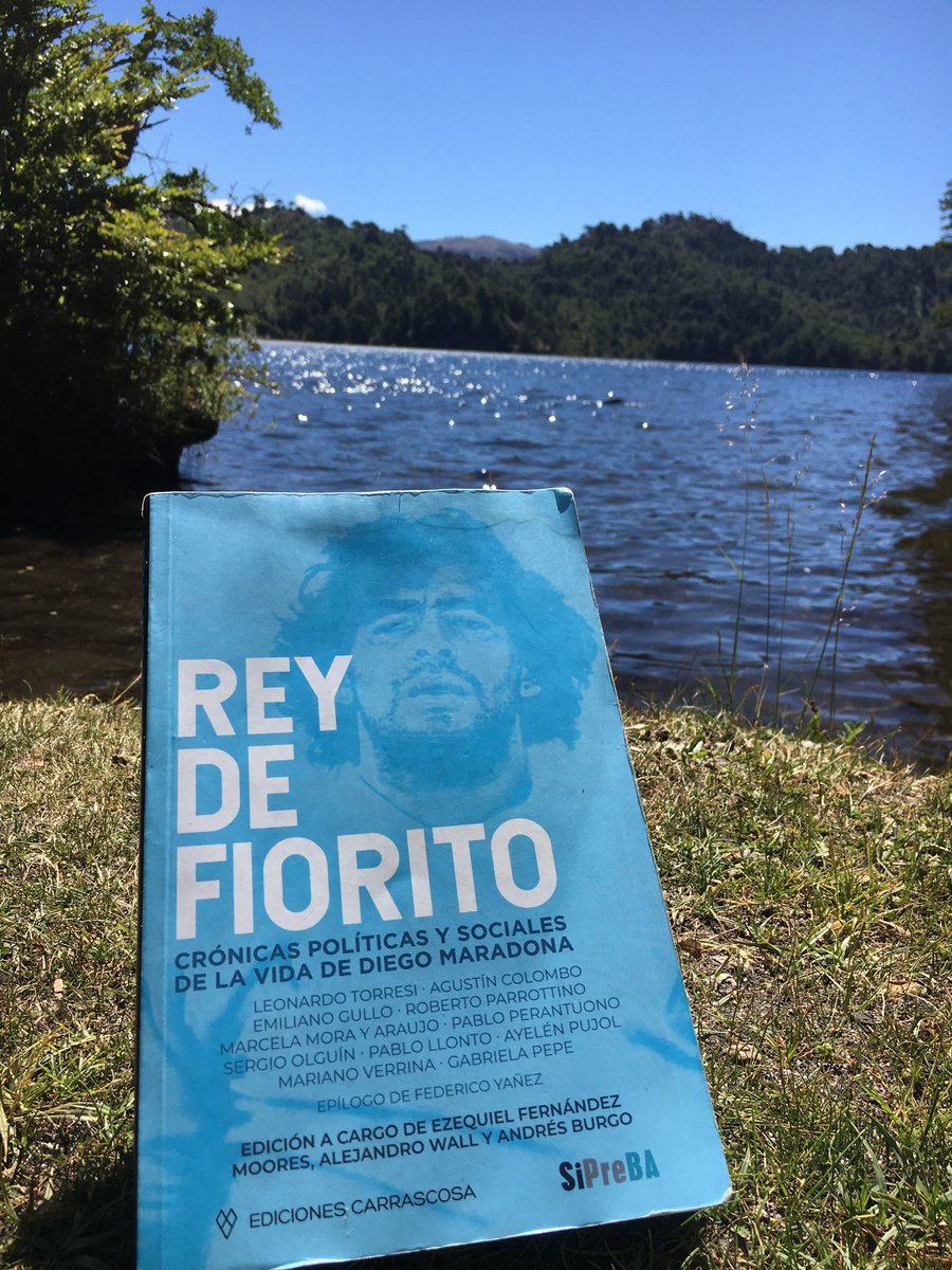 ProfesorBliss's tweet photo. LA lectura que me acompañó por los lagos este año... @Ed_Carrascosa @alejwall @Andres_Burgo @DiganmeRingo @sipreba (y no pude terminarlo porque siempre alguien me pedía hojearlo un rato o un par de días ) muy bueno! https://t.co/dC2hdlmo2g