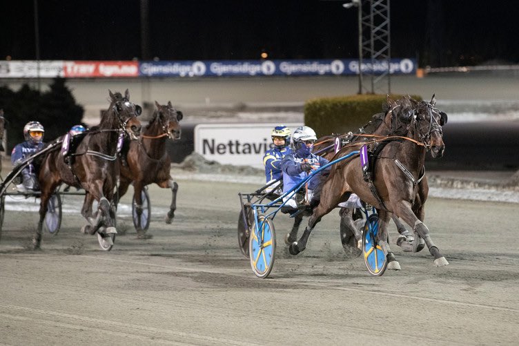 Sofies Case tar sin 18 seier på 36 forsøk, og det på ny bestenotering på 11,5 🏆 Brage Hindø gjør igjen et godt løp og tar med seg nok en trippelplass! Vi gratulerer 💫

Foto: Hesteguiden.com