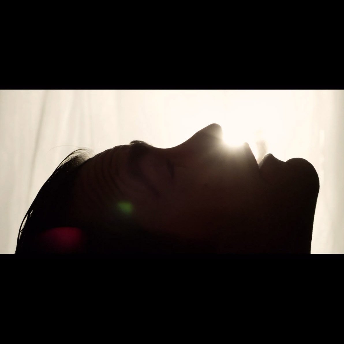 A toast to Rabbie Burns and our Scottish followers tonight!

This weekend's RTV bundle is dedicated to you.
A collection of work from one of our favourite directors <a href="/GrantMcPheeFilm/">Grant McPhee</a>

#scottishfilm #scottishproduction #indiefilm #experimentalfilm #ukfilm #burnsnight