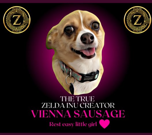 Busspipe99's tweet photo. @kochomaii ❤️🐕 Sometimes the hardest losses can lead to the best changes.After the loss of Vienna our team got inspiration for this project and it is our mission that we help as many dogs as possible get the proper care and chance at life. Join us 🐕FOR THE DOGS
@ZeldaInu @zeldainucreator https://t.co/BcNtx1qV0P