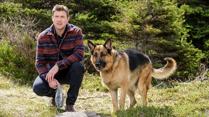 Four scripted Canadian TV shows made the Jan. 10-16 list of most-watched shows in (English) Canada. Yes, #SonofaCritch made the list, as did <a href="/hudsonandrex/">Hudson & Rex on Citytv</a>; here are the others: bit.ly/3KVafS7 #Numeris <a href="/CBC_Publicity/">CBC PR</a> <a href="/CTV_PR/">CTV PR</a> <a href="/RogersMediaPR/">Rogers Sports & Media PR</a>