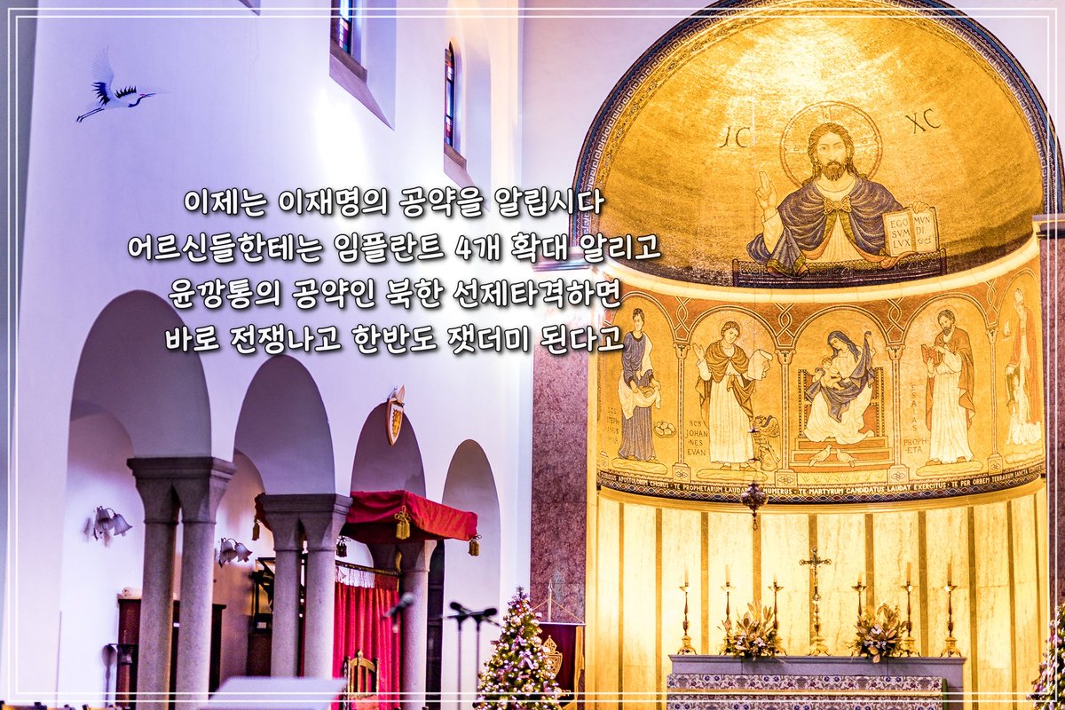 저는 윤깡통과 무당끼가 있는 쥴리 이야기는 그만하고 이제부터 이재명의 공약을 알리렵니다. 65세 이상 어르신들 임플란트 2개에서 4개로 확대하고 60세 이상도 2개 임플란트 가능하게 하는 공약 어르신들에게 확 와 닿는 공약입니다.