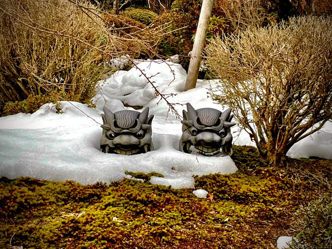 🐇 【湖東三山 苔の寺】 西明寺@kotousanzan 残雪と鬼瓦。久しぶりに顔を出せてとても嬉しそうです。