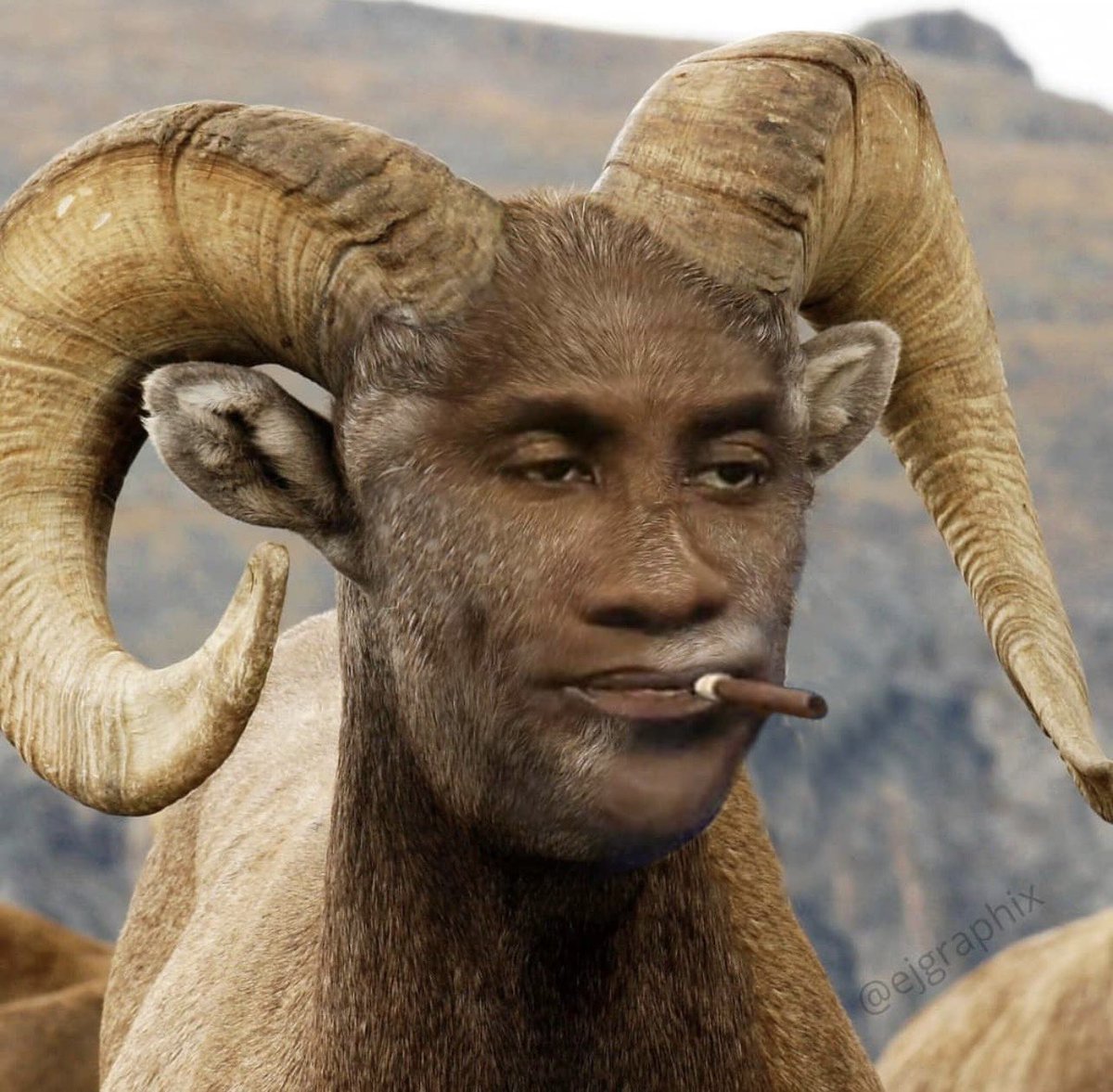 shannon sharpe tweet media