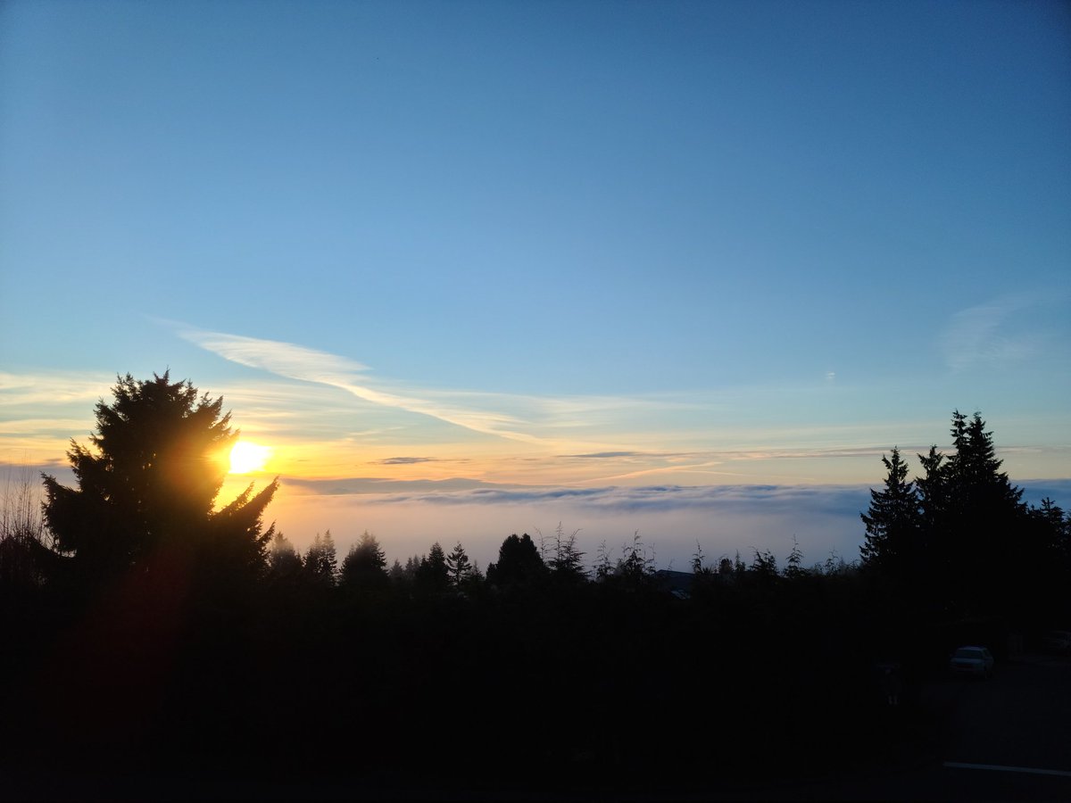 jasasix's tweet photo. Vancouver was lost in the fog this morning. Photo taken from West Vancouver looking South East... https://t.co/j823Sn7X62