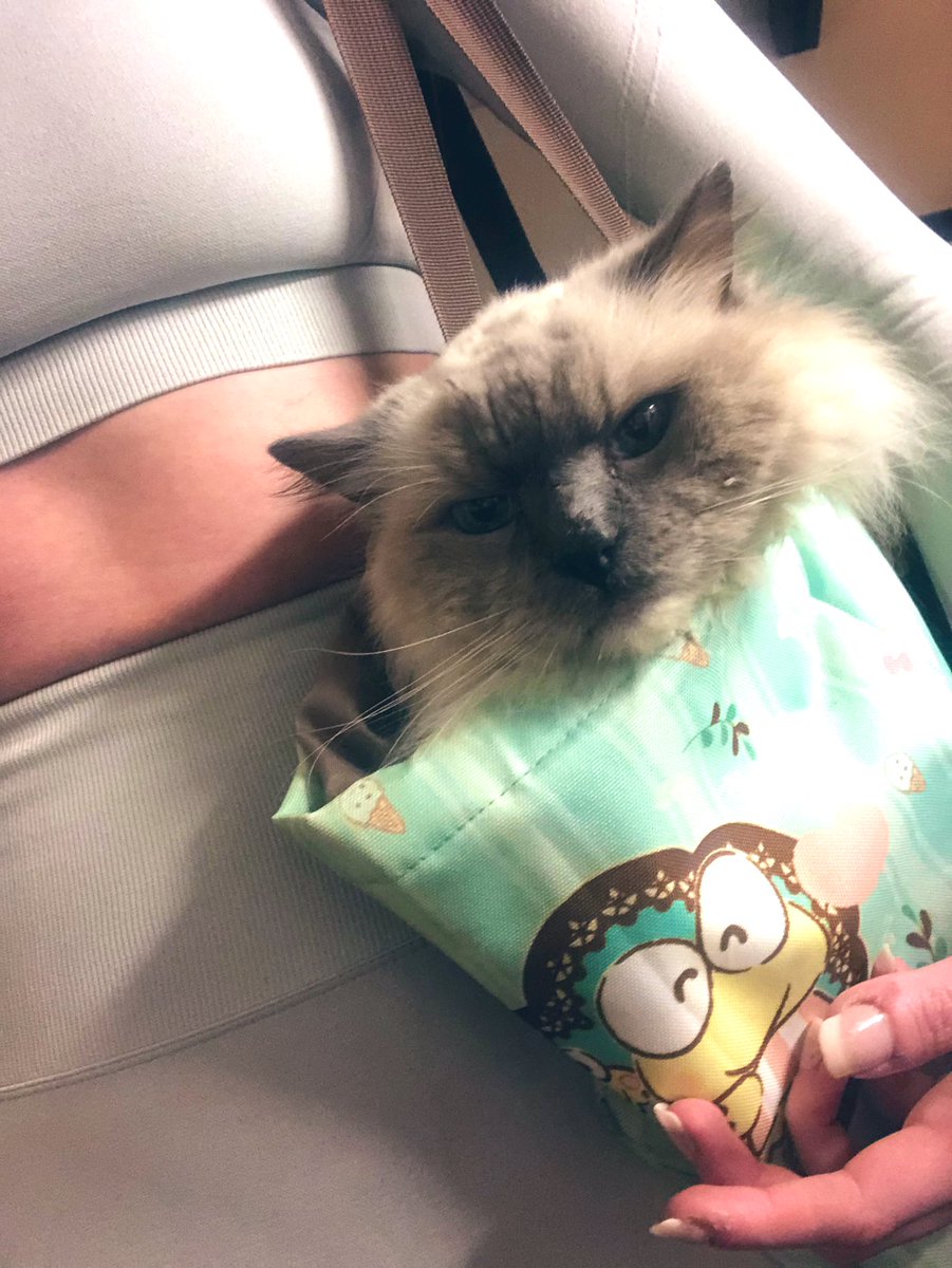 Someone is going on a field trip.