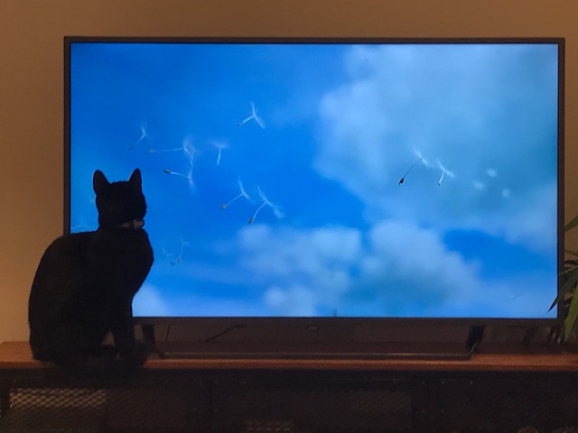 Naomi Nakayama (@nakayama_naomi) on Twitter photo Wow, that was a lovely surprise to see our dandelion flight finding mentioned on #GreenPlanet <a href="/BBC/">BBC</a>.😲
<a href="/CathalPCummins/">Cathal Cummins 🌻</a> @MaddySeale <a href="/VOILAb_UoE/">VOILAb: Vortex Interaction Laboratory</a> Wow, that was a lovely surprise to see our dandelion flight finding mentioned on #GreenPlanet <a href="/BBC/">BBC</a>.😲
<a href="/CathalPCummins/">Cathal Cummins 🌻</a> @MaddySeale <a href="/VOILAb_UoE/">VOILAb: Vortex Interaction Laboratory</a>