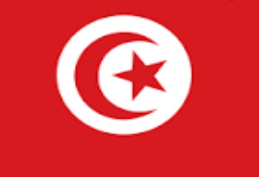 CarlyUndisputed's tweet photo. Tunisia,you people's flag is not even fine😒#Nigeriavstunisia https://t.co/KlmTOUamW5