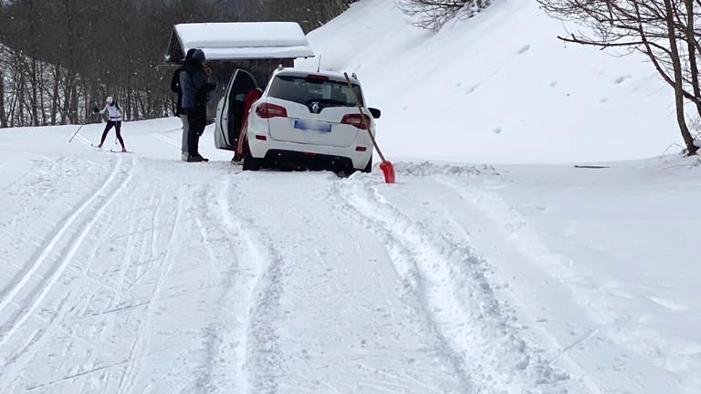 Viva Disentis tweet media