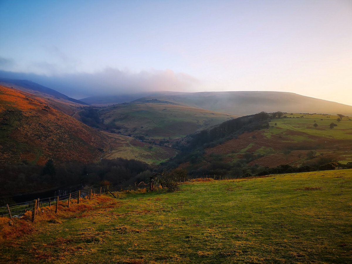 Andy Webb tweet media