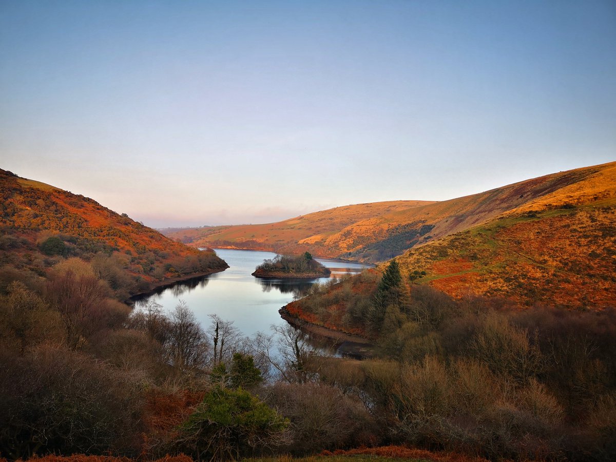 Andy Webb tweet media