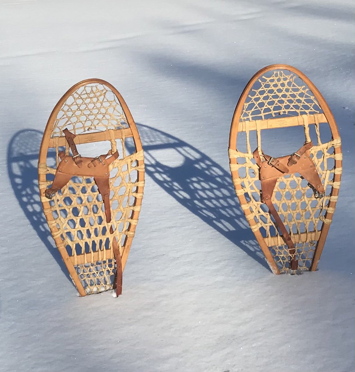 In Ojibwe our word for snowshoe is aagam.