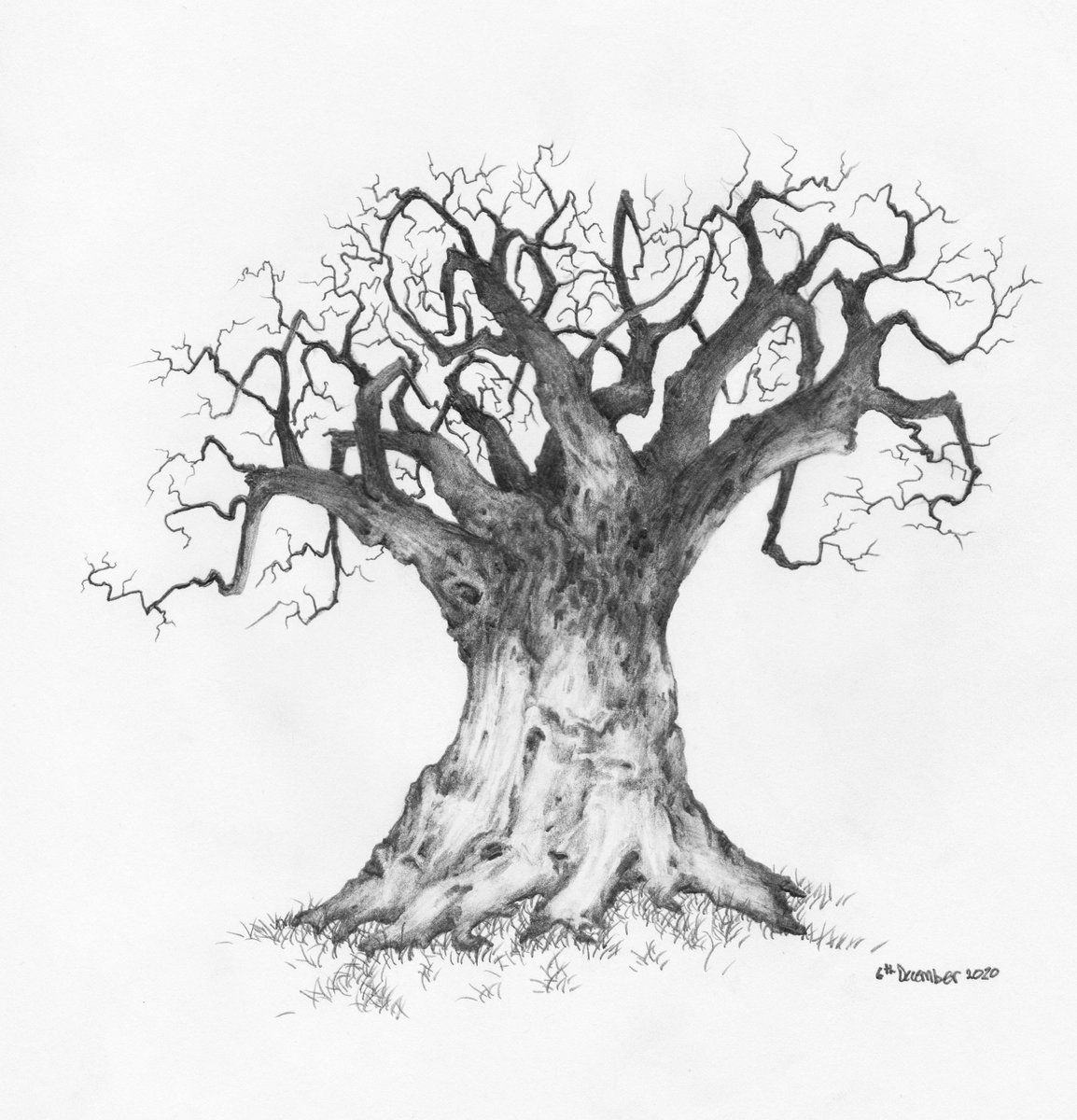 Owentree1's tweet photo. Excited to share the latest addition to my #etsy shop: Original Pencil Sketch of Tree part of a large art series, Tree Drawing, Wall Art. Home Decor, Framed and Matted. Owentree Studios https://t.co/cLz7iMyyMU #framedandmatted #perfectgift #pencilsketch #tree #trees #t https://t.co/M1lGRxeACD