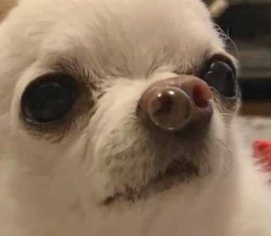 “Por un 2022 lleno de salud”

— Yo: Tengo covid pa