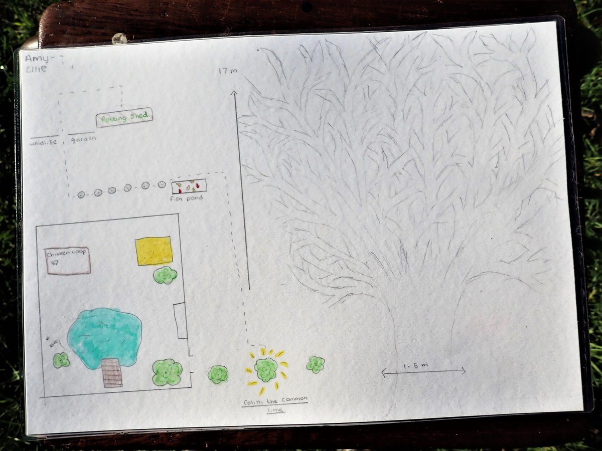 BHAPottingSheds's tweet image. Class #8Hill enjoyed creating #Treetrail maps for @Enrichmentafternoon this week @BredonHAcademy .
💚🌳🗺️
#TreeCharter #Outdoorlearning #STEM #OutdoorEdChat #Schoolgardens