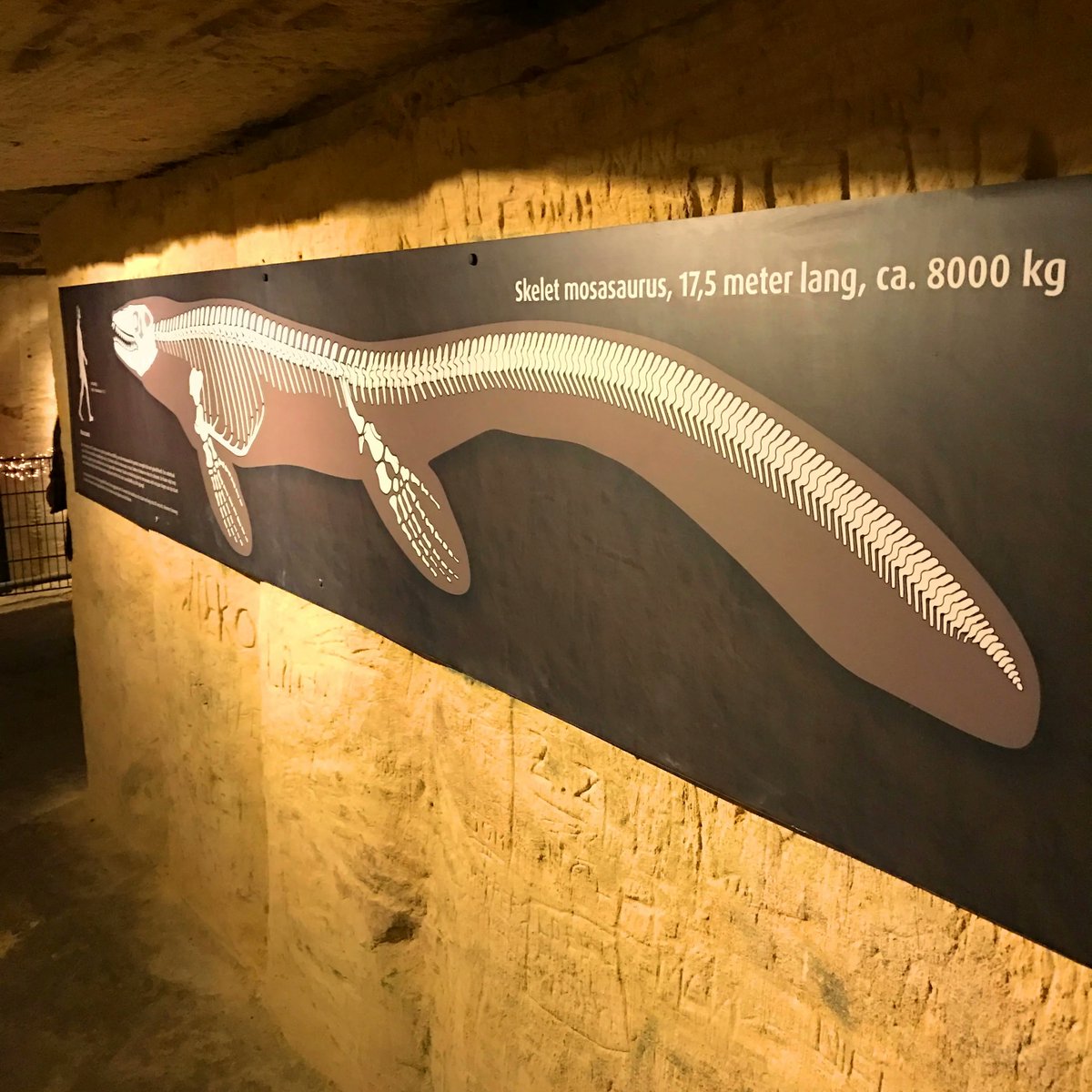 celesta66's tweet image. The stupid marl caves are born out of little dead corps; sort of swimming mini skeletons.... buff.ly/3FxvBB5 #blogs #funnyblog #celesta #lesson #blog