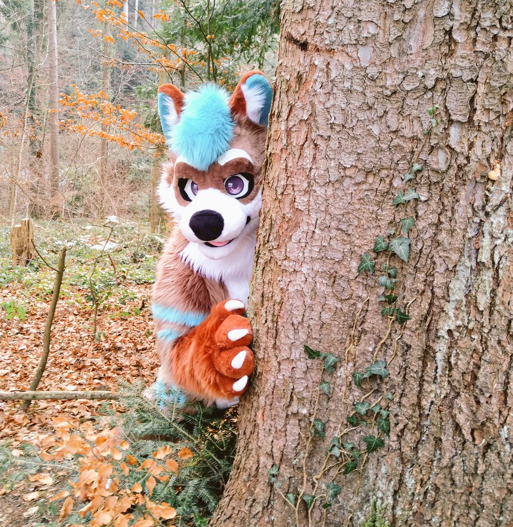 KeLoX 🇨🇭🇮🇹 tweet media