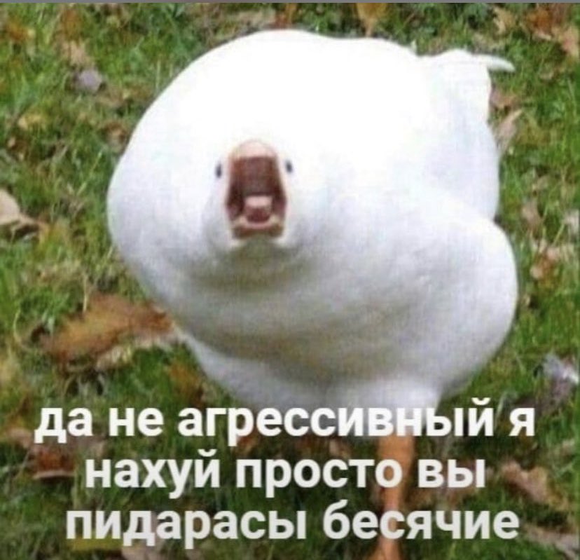 Камин-аут: я злая