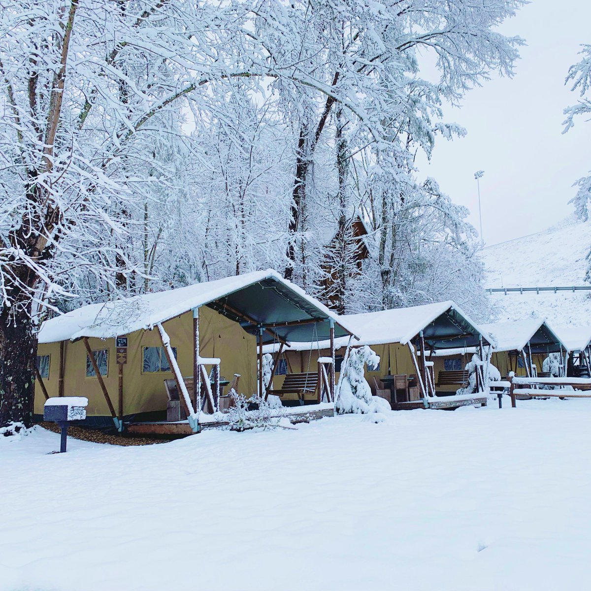 Camp LeConte looks beautiful under a blanket of snow. ☃️🤍🌨❄️ #snow #winter #safaritent