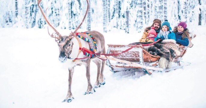 Kızaklar beleş geyikler parayla uygun fiyata geyik bulunur  #amasyaünionline