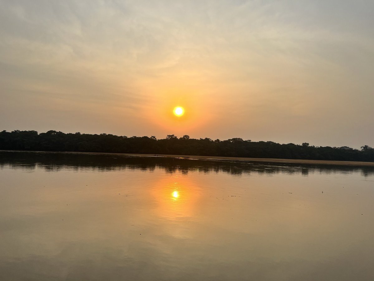 natboucly's tweet photo. Un dernier regard sur Bangui et l’Oubangui avant de dire au revoir à la #RCA en espérant revenir un jour y revoir sa faune, sa flore et ses habitants que je remercie pour leur accueil et hospitalité! @PNUD_RCA - La #RCA c’est aussi une autre histoire - en images: https://t.co/NKWSBOfvyf