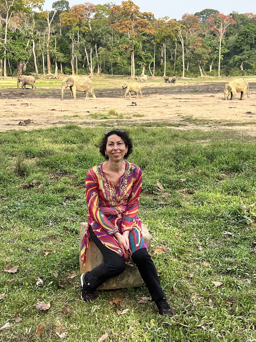 natboucly's tweet photo. Un dernier regard sur Bangui et l’Oubangui avant de dire au revoir à la #RCA en espérant revenir un jour y revoir sa faune, sa flore et ses habitants que je remercie pour leur accueil et hospitalité! @PNUD_RCA - La #RCA c’est aussi une autre histoire - en images: https://t.co/NKWSBOfvyf
