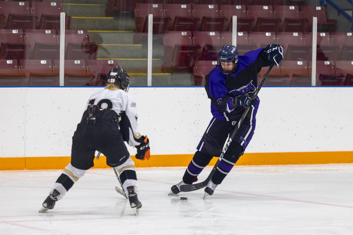 Lethbridge Sports tweet media