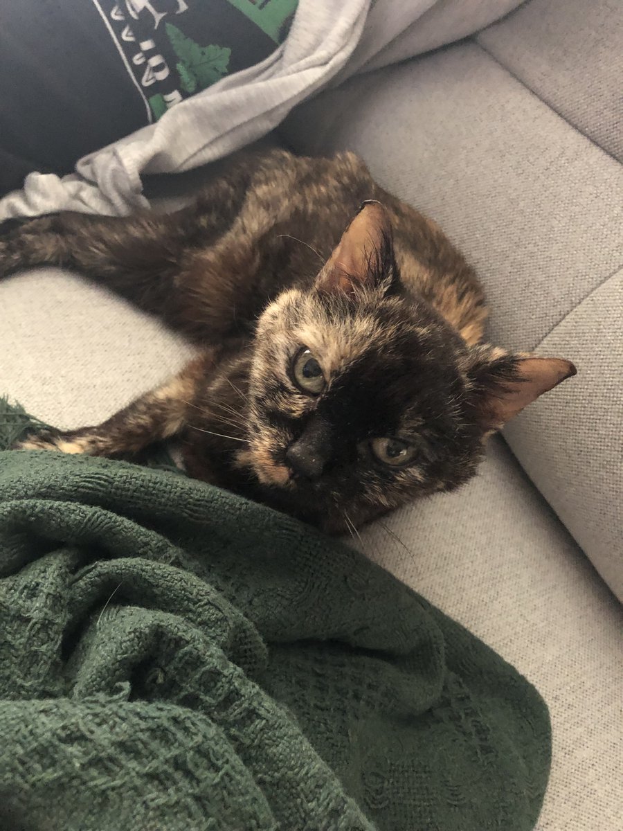 Adam Shiver tweet media