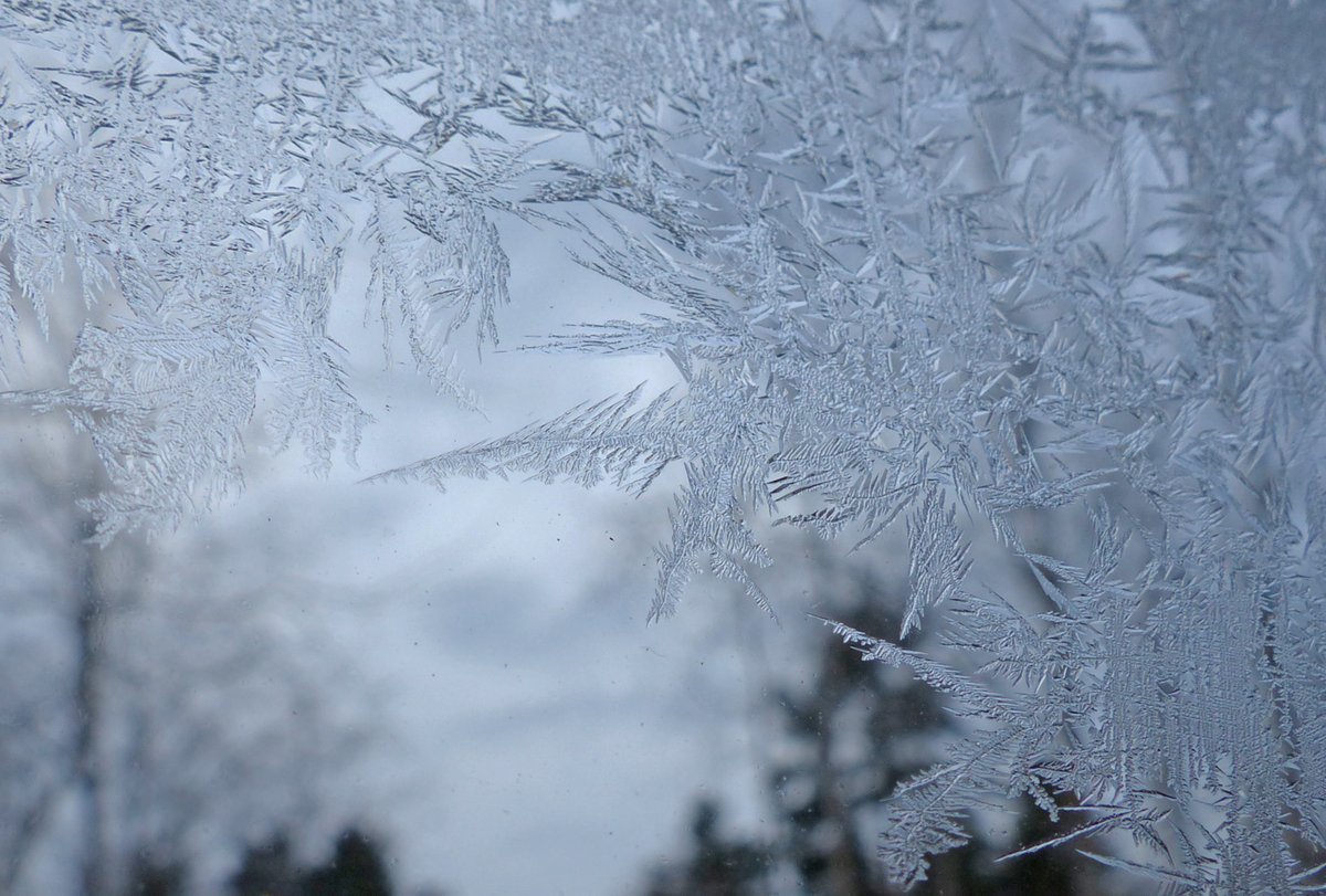 RitvaSavolaine1's tweet photo. Pakkasaamun koristeita mökin ikkunassa. #frozenwindow #wintertime https://t.co/RZWp00N5p5
