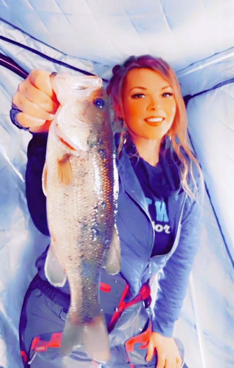 MidwestMorals's tweet photo. Some #icefishing pics! 
Brown trout, splake &amp; coho from last week. 😋 
A random bass ate my jig a few days ago, was fun too! https://t.co/9kA5PdkpeQ