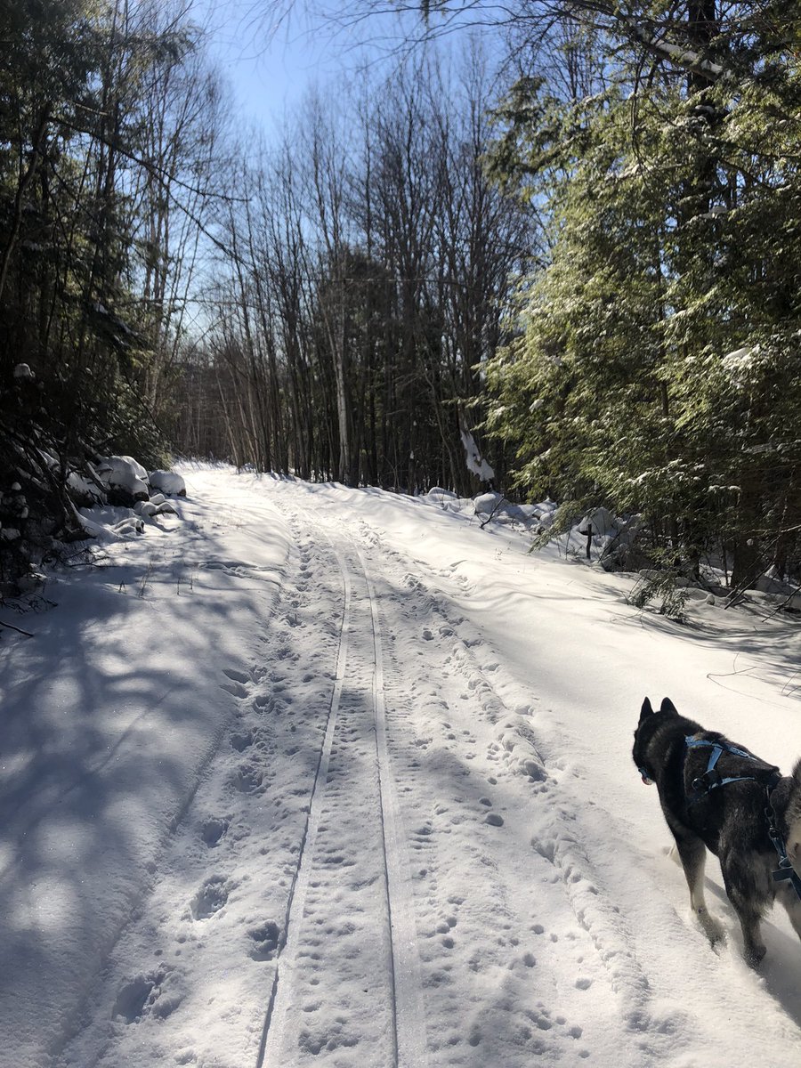 jageddes's tweet photo. Great day for a ski… thru the back bush, over lakes & back again #GetOutside #GoodTired https://t.co/JkyA9Zs4ZY