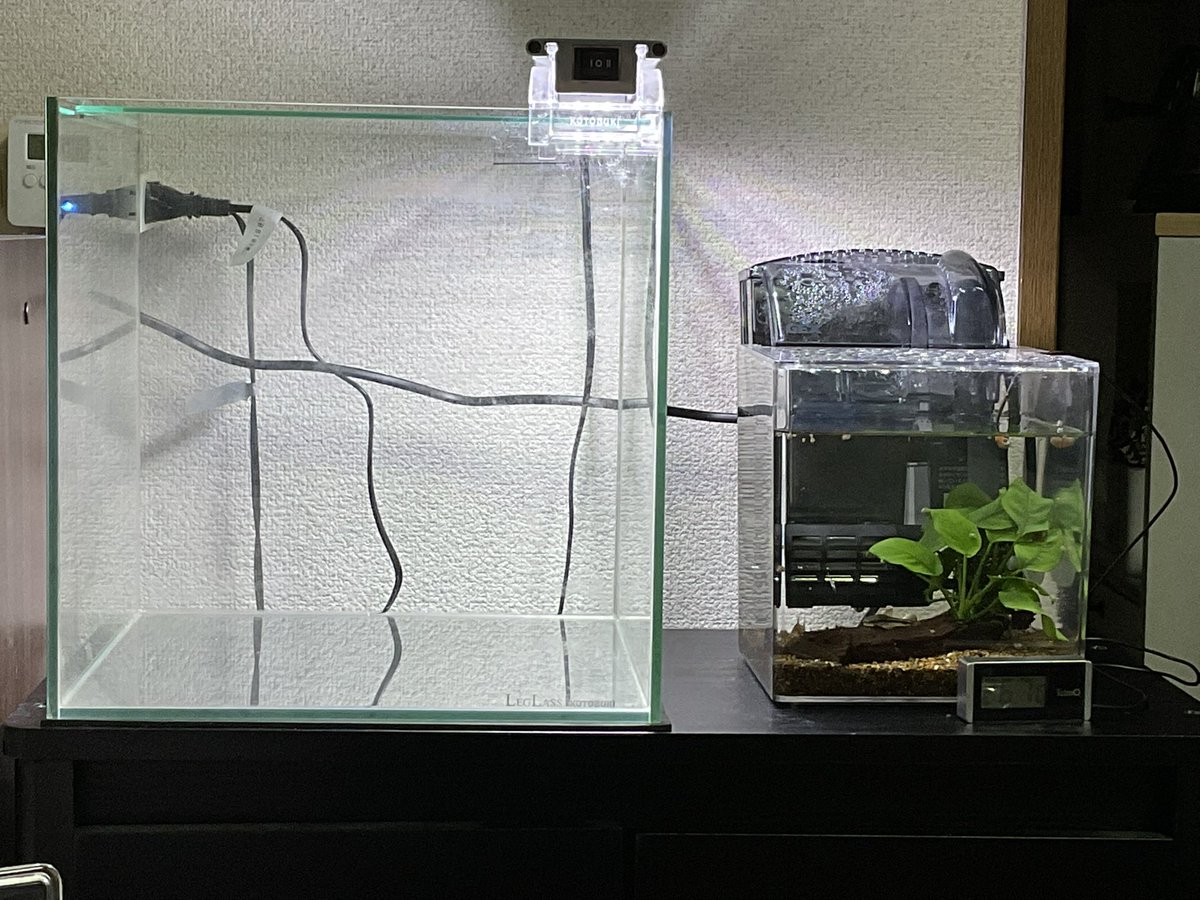 ちょっと片付けた、色々レイアウトとか考えてるこの状態が1番楽しいかもしれない