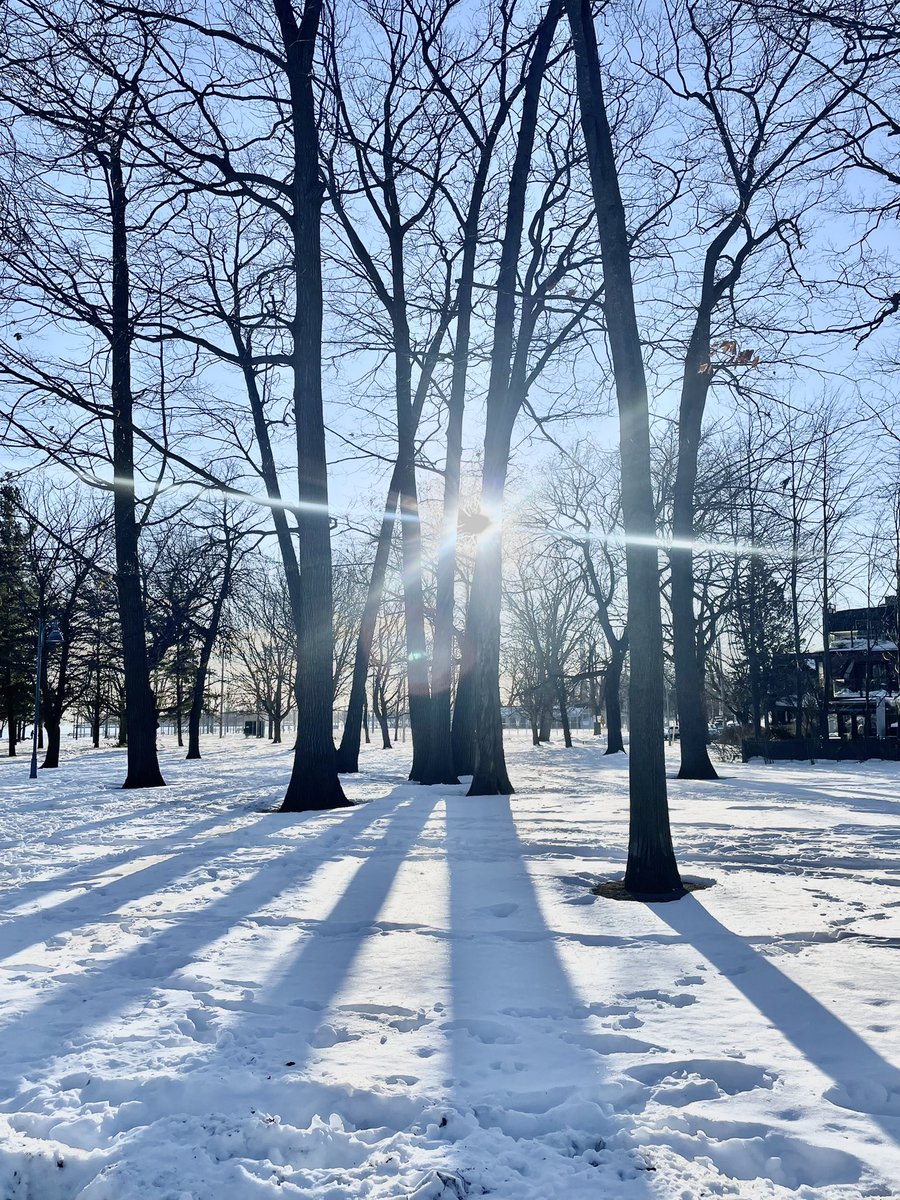 rachwraithTO's tweet photo. Pardon the interruption. May I present my afternoon walk. #WinterTO ❄️ ☀️ https://t.co/AotxBIpKdI