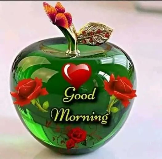 SoujonH's tweet photo. @baul8g শুভ সকাল https://t.co/32WsfKpYd3