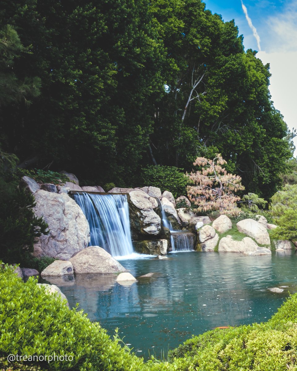 tr3anor's tweet photo. Pro Neg Hi + 16mm + 1/4sec + Japanese Garden = 👌 https://t.co/L6w7tzf7zj