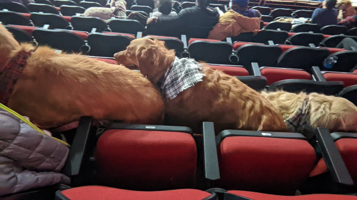 Yeah Scheels!!!   <a href="/iawolves/">Iowa Wolves</a> Row T seat  9 section 119!!   Puppy dog Sunday hoops and howels