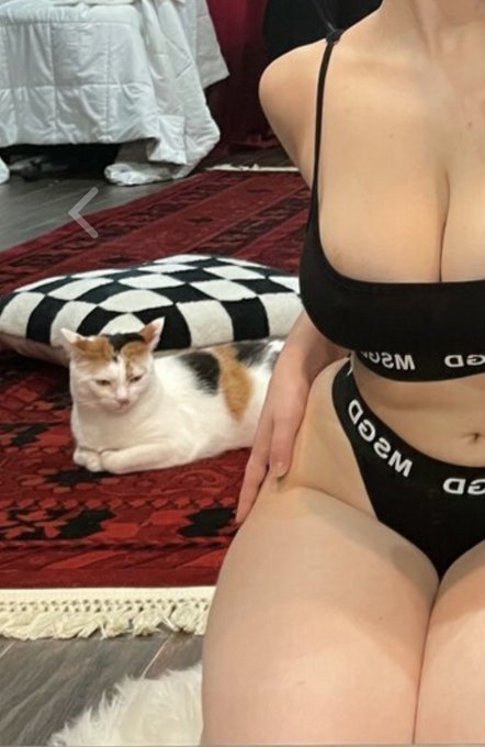 Pls ignore my cats gross ass dumb lil face, she&rsquo;s a big baby and always wants to be right next to me<a href="/tag/yorforger"class="tags"><span>#yorforger</span></a>