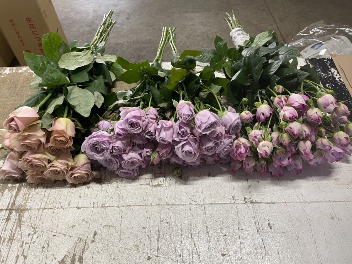 エゼ様オーダー染め花　薔薇&アネモネ エゼ様オーダー染め花 薔薇&アネモネ （アネモネと薔薇 | ｜正光