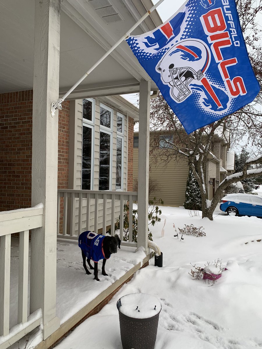 irubin27's tweet image. #GoBills