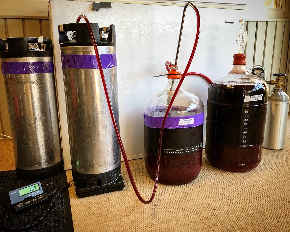 Dynamic Ales tweet media