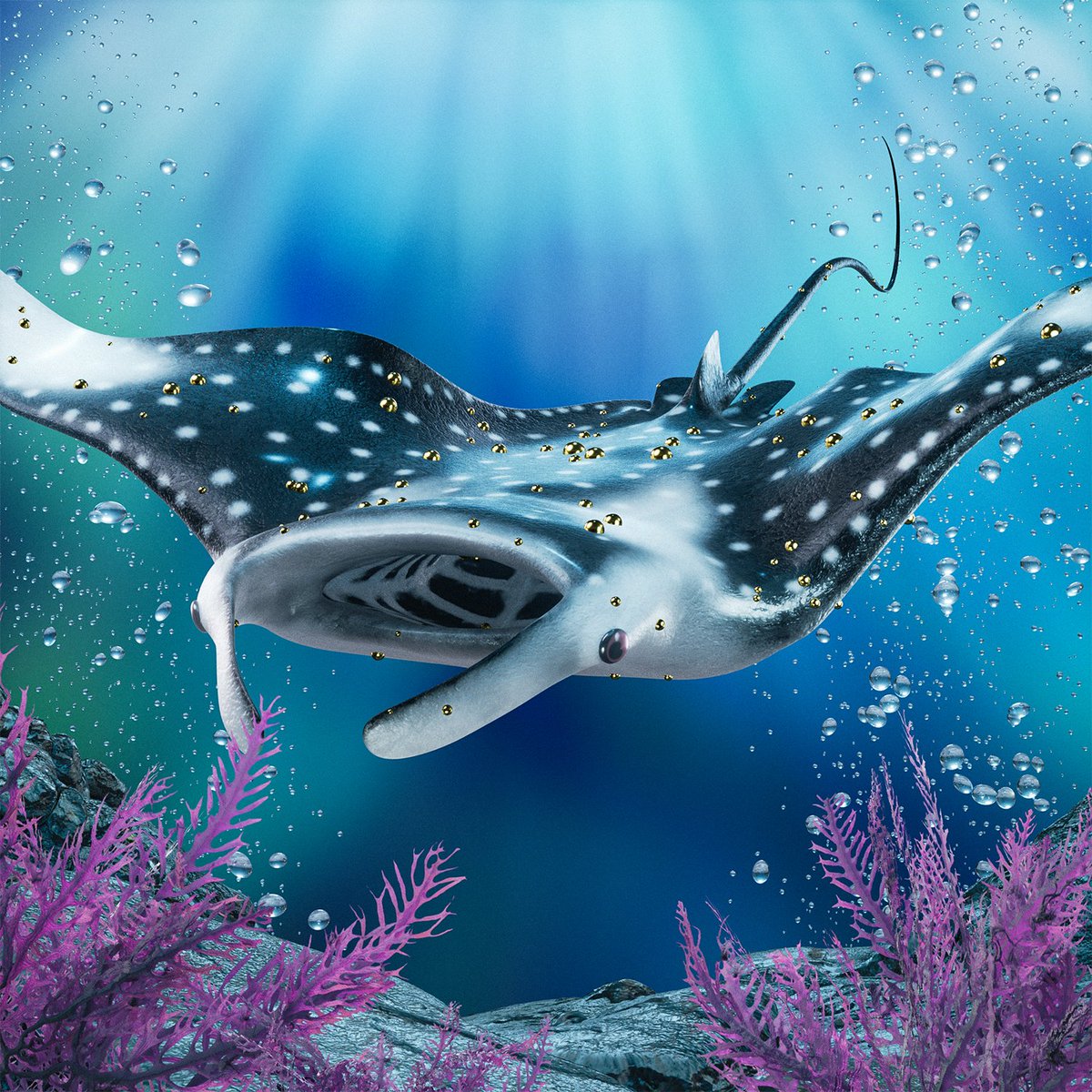 cryptosheppherd's tweet photo. @IcedKnife @SolAquariums and @Flamingos_nft !! https://t.co/9e0PhQEcdh