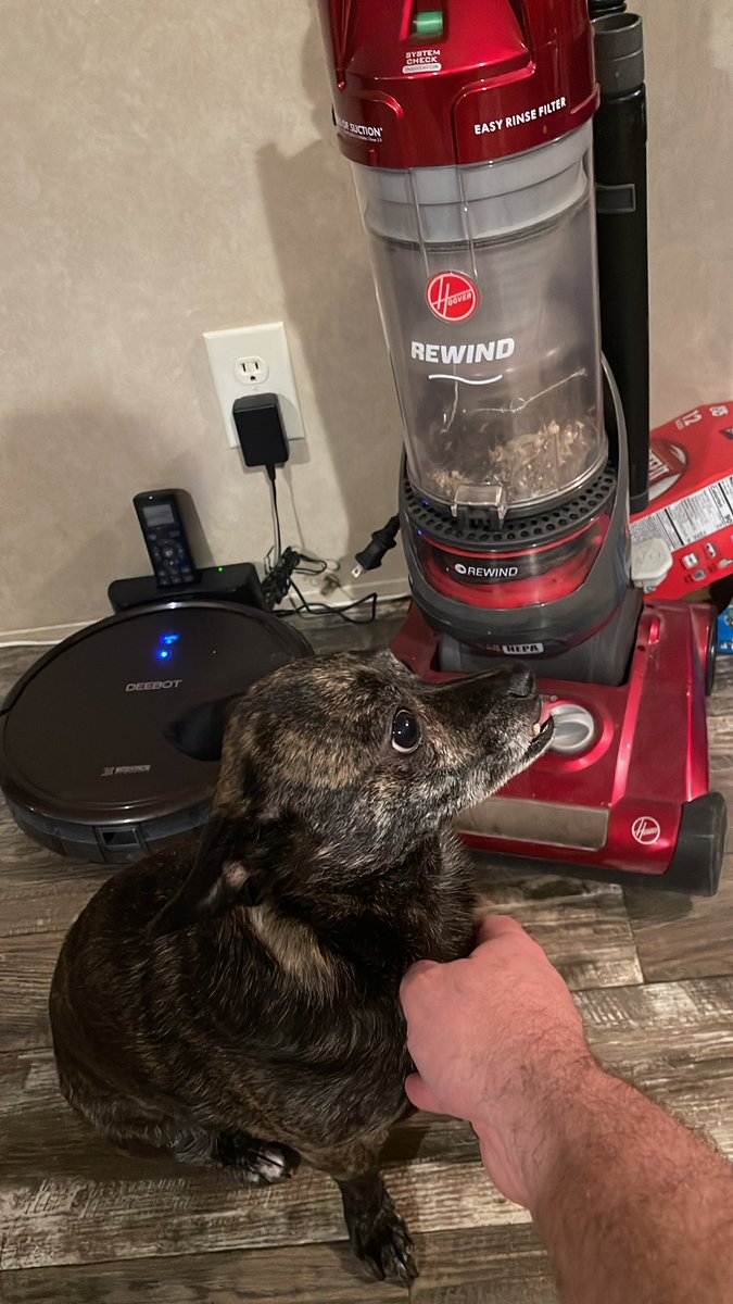 PeterGWM's tweet photo. @DecksLower Looks like machines suppressing a living being to me. #machineoverlords ‼️🤪❤️🐻 https://t.co/c1rbt6hwlB